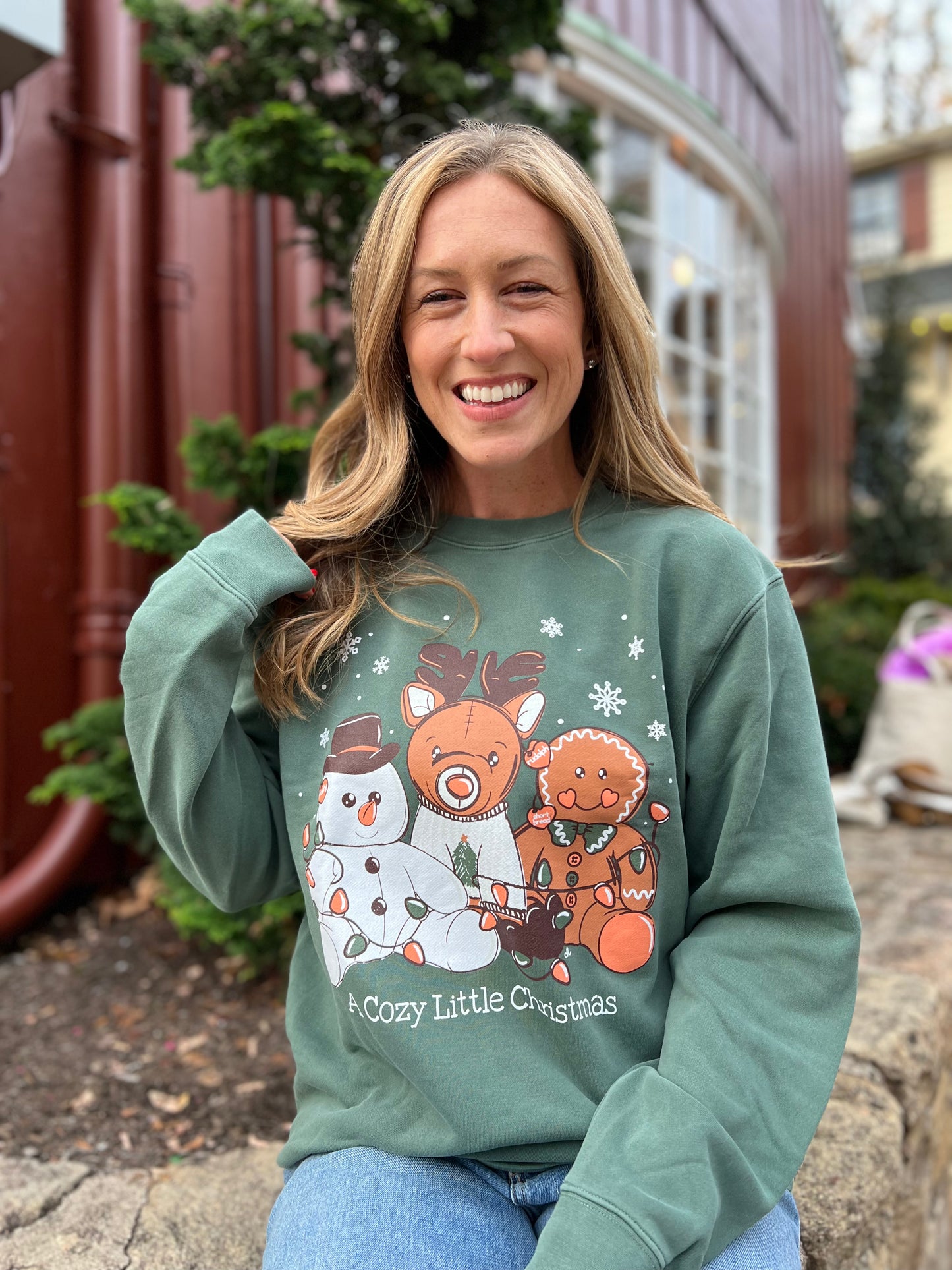 Cozy Christmas
