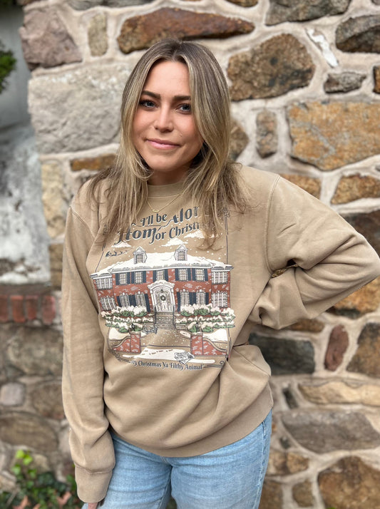 Home Alone For Christmas